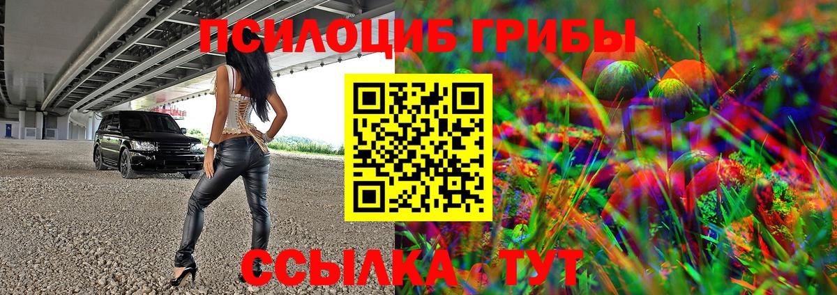 Галлюциногенные грибы Magic Shrooms  Вход с VPN  Елец  Галлюциногенные грибы прущие грибы 
