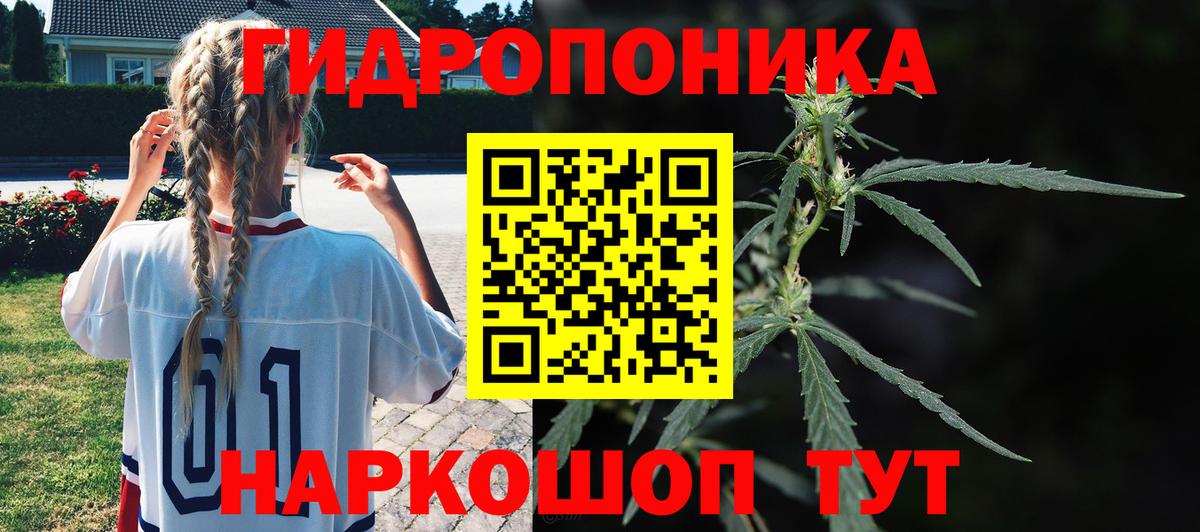 Конопля сатива Елец