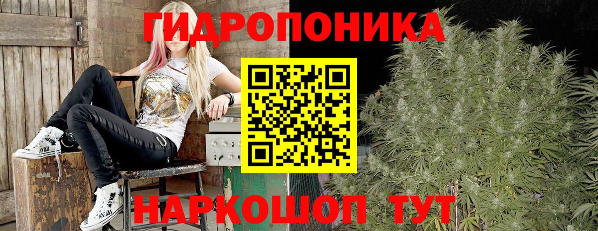Елец  Бошки марихуана White Widow  Вход с VPN  Бошки марихуана тримм  Бошки Шишки марихуана 
